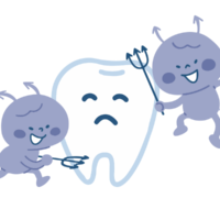 むし歯について